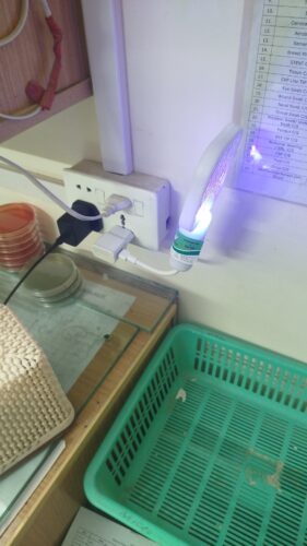 Mini USB Electric Racket Mosquito Killer Racket ( Random Color ) photo review